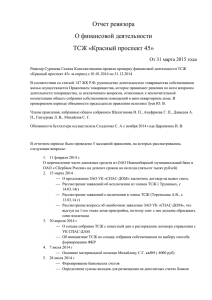 Отчет ревизора о финансовой деятельностиx