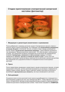Стадии приготовления спагирической матричной настойки