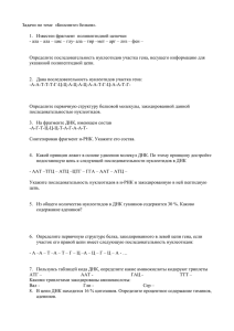 Задачи по теме «Биосинтез белков»