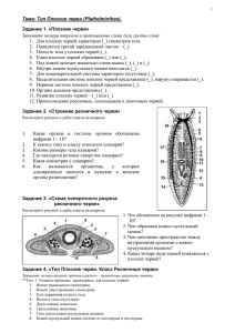 Тема: Тип Плоские черви (Plathelminthes)