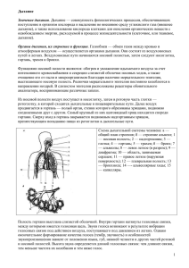 поступление в организм кислорода и выделение во внешнюю среду углекислого... дыхание), а также использование кислорода клетками для окисления органических веществ... Дыхание Значение дыхания