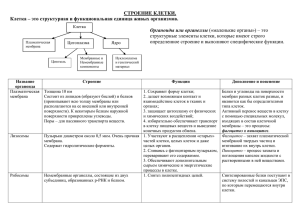 СТРОЕНИЕ КЛЕТКИ. Клетка – это структурная и функциональная единица живых организмов.