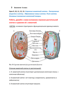 поступление веществ в клетку.