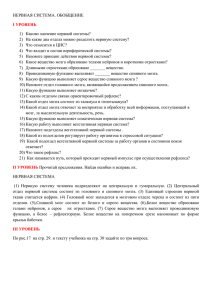 НЕРВНАЯ СИСТЕМА. ОБОБЩЕНИЕ 1)  Каково значение нервной системы? I УРОВЕНЬ