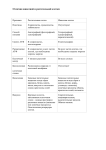 Отличия животной и растительной клетки