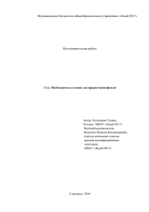 Муниципальное бюджетное общеобразовательное учреждение «Лицей №17»  Исследовательская работа