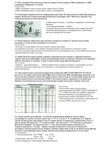 С1  Как с помощью биохимического анализа можно отличить вирусы... содержащих? Приведите 2 отличия