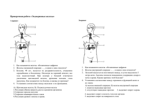 Эндокринные железы
