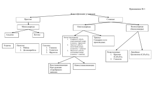 Приложение № 1  Классификация углеводов