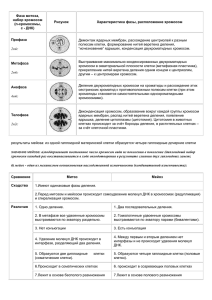 Митоз и Мейоз