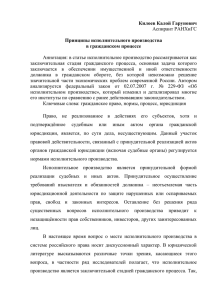 Принципы исполнительного производства в гражданском процессе