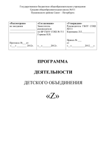 Программа деятельности детского объединения «Z