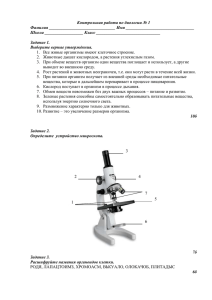 Основная единица любого живого организма