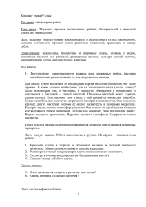 Конспект открытого урока. Лабораторная работа