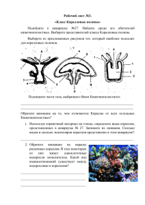 Рабочий лист №3. «Класс Коралловые полипы» кишечнополостных. Выберете представителей класса Коралловые полипы.