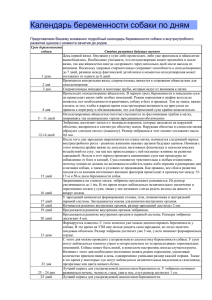 Календарь беременности собаки по дням