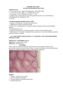 ЗАНЯТИЕ ПО ТЕМЕ: МУЖСКАЯ ПОЛОВАЯ СИСТЕМА