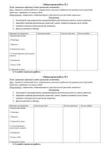 Лабораторная работа № 1 Тема: сравнение строения клеток