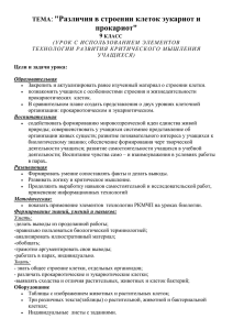 : &#34;Различия в строении клеток эукариот и прокариот&#34; ТЕМА