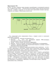 Приложение №1.