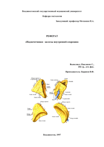 РЕФЕРАТ  «Надпочечники - железы внутренней секреции»