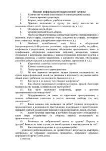 Паспорт неформальной подростковой группы