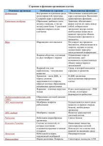 Строение и функции органоидов клетки