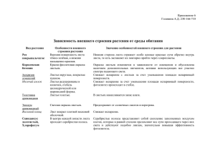 Зависимость внешнего строения растения от среды обитания