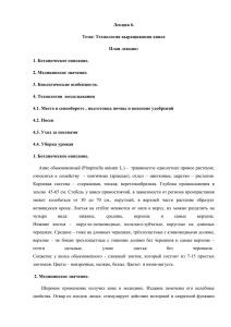 Лекция 6. Тема: Технология выращивания аниса План лекции: 1