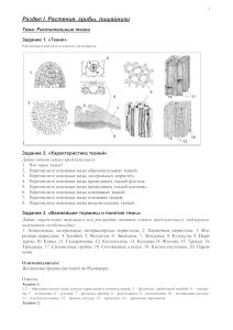 Ткани растений документ MS Word