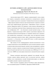 Лущекина С.В., Морозов Д.И., Немухин А.В. Изучение активного