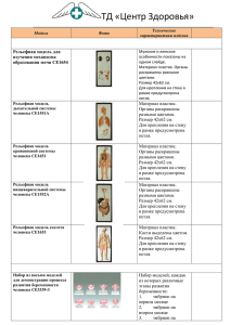 Объёмные модели тела и органов человека - uchkollektor