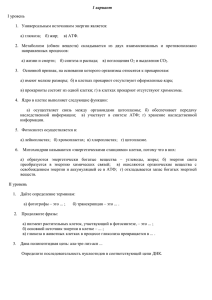 1 вариант I уровень Универсальным источником энергии