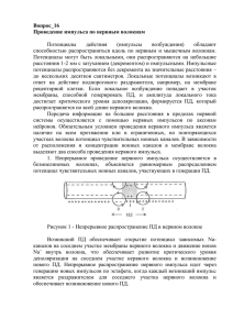 Вопрос_16 Проведение импульса по нервным волокнам