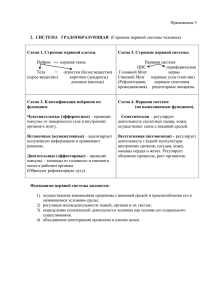 Приложение 5  Нейрон   ↔  нервная ткань Нервная система