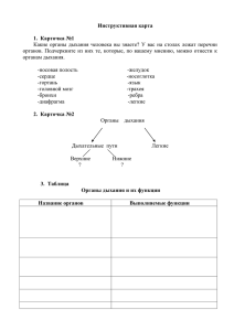 Инструктивная карта