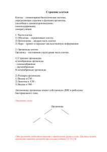 Строение клетки