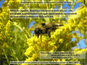 (Bombus) Новосибирской области