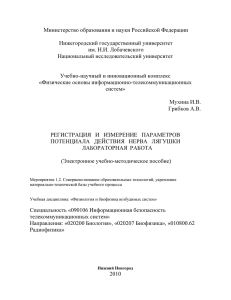 Министерство образования и науки Российской Федерации Нижегородский государственный университет им. Н.И. Лобачевского