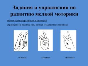 Задания и упражнения по развитию мелкой моторики