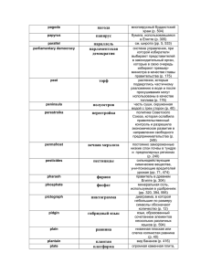 пагода папирус параллель парламентская демократия