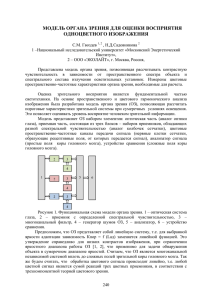 модель органа зрения для оценки восприятия одноцветного