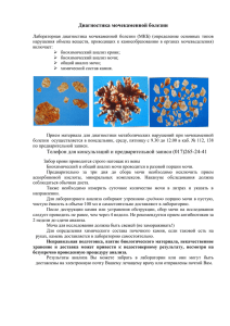 Диагностика мочекаменной болезни Телефон для консультаций