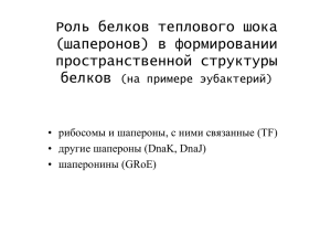 Белки теплового шока и пространственная структура белков