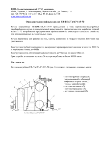 Котел водогрейный ЕВ-Г-0,7-115