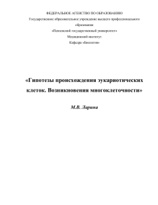 «Гипотезы происхождения эукариотических клеток