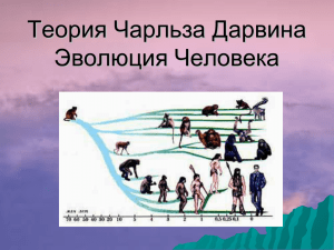 Теория Чарльза Дарвина Эволюция Человека