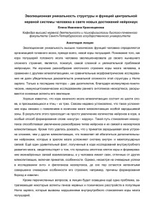 Эволюционная уникальность структуры и функций центральной