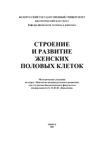 строение и развитие женских половых клеток