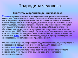 Прародина человека